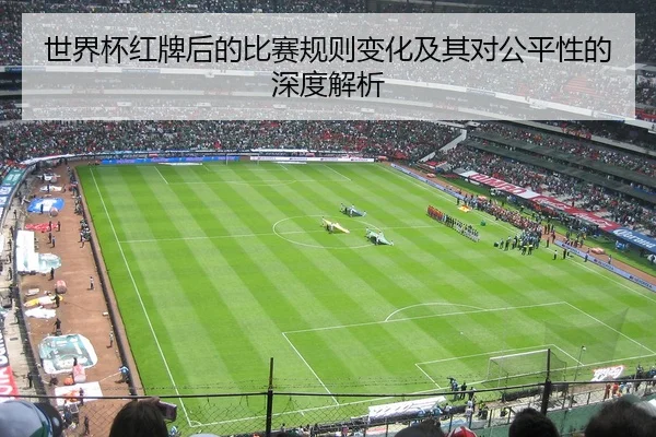 世界杯红牌后的比赛规则变化及其对公平性的深度解析