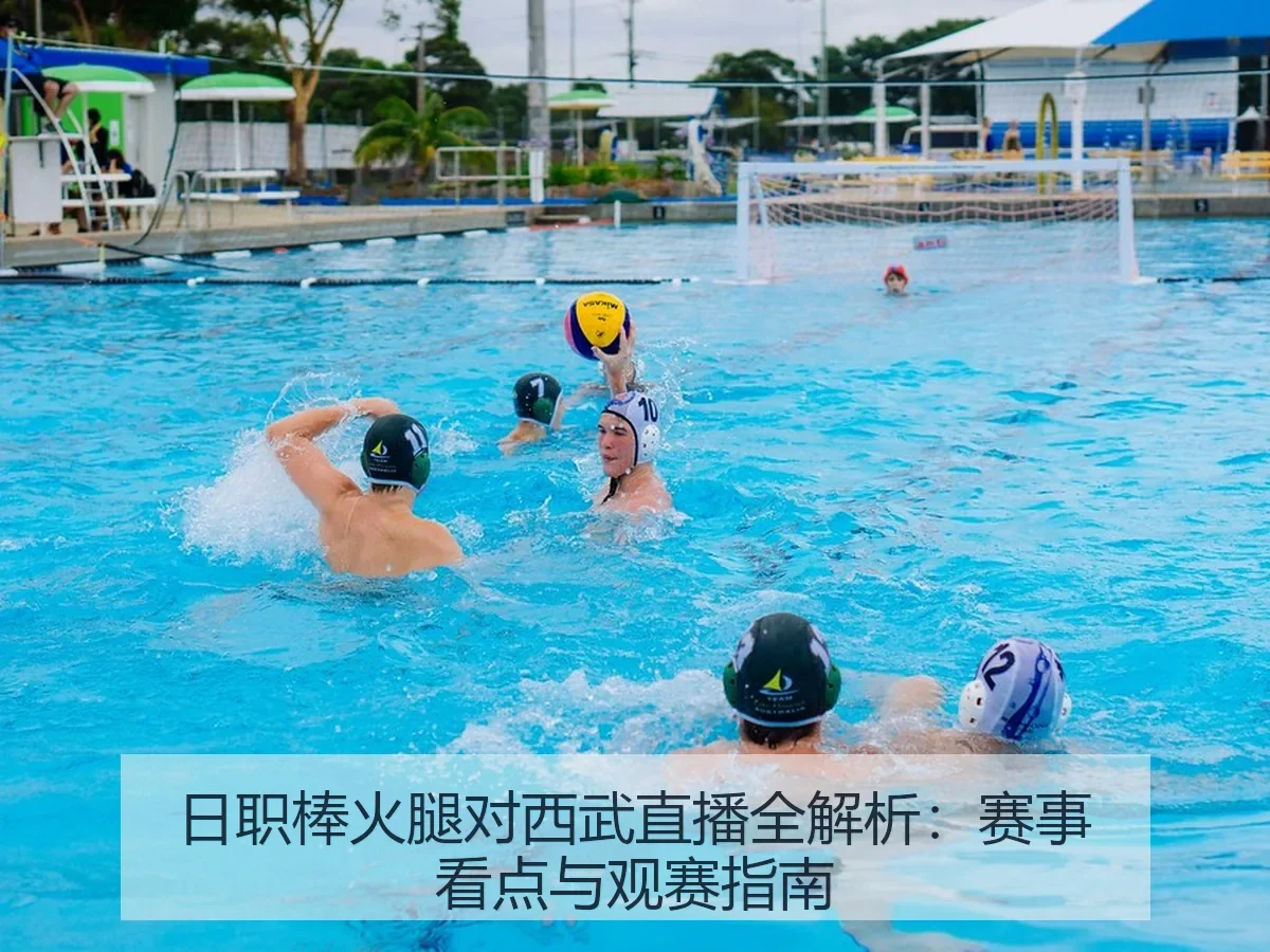 日职棒火腿对西武直播全解析:赛事看点与观赛指南